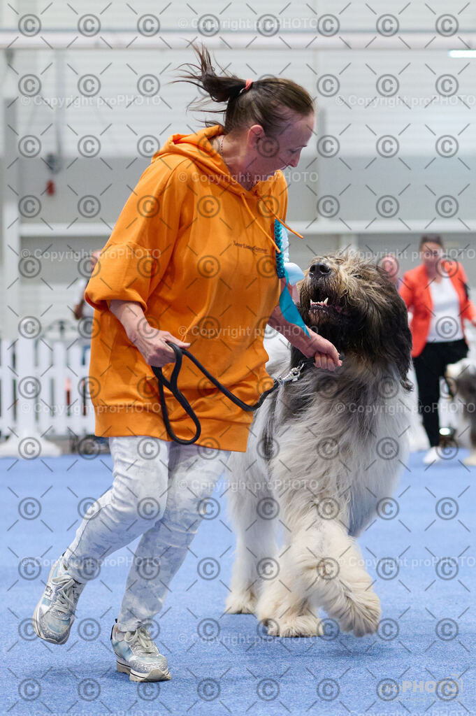 202406_ÖKV-IHA-Tulln24_DSC_2878 | proPHOTO - Realisiert mit Pictrs.com