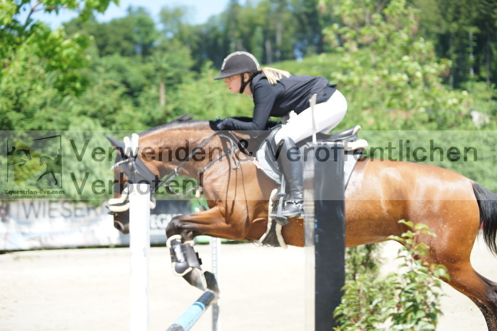DSC09206 | equestrian-live-com