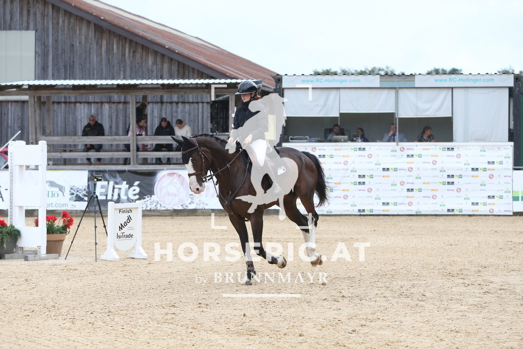 DL2Q1431 | Willkommen bei Brunnmayr - Design & Fotografie – Ihrem Spezialisten für Reitturniere und Pferdeveranstaltungen in Oberösterreich, Salzburg und Bayern! Seit über 17 Jahren sind wir leidenschaftlich dabei.