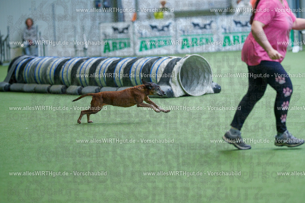 @allesWIRTHgut_Tierfotografie - www.allesWIRTHgut.de - 2604251111-7R501470 | Professionelle Tierfotografie in Mönchengladbach von Daniel Wirth (allesWIRTHgut). Liebevolle & natürliche Bilder von Hunden & Katzen für unvergessliche Erinnerungen.