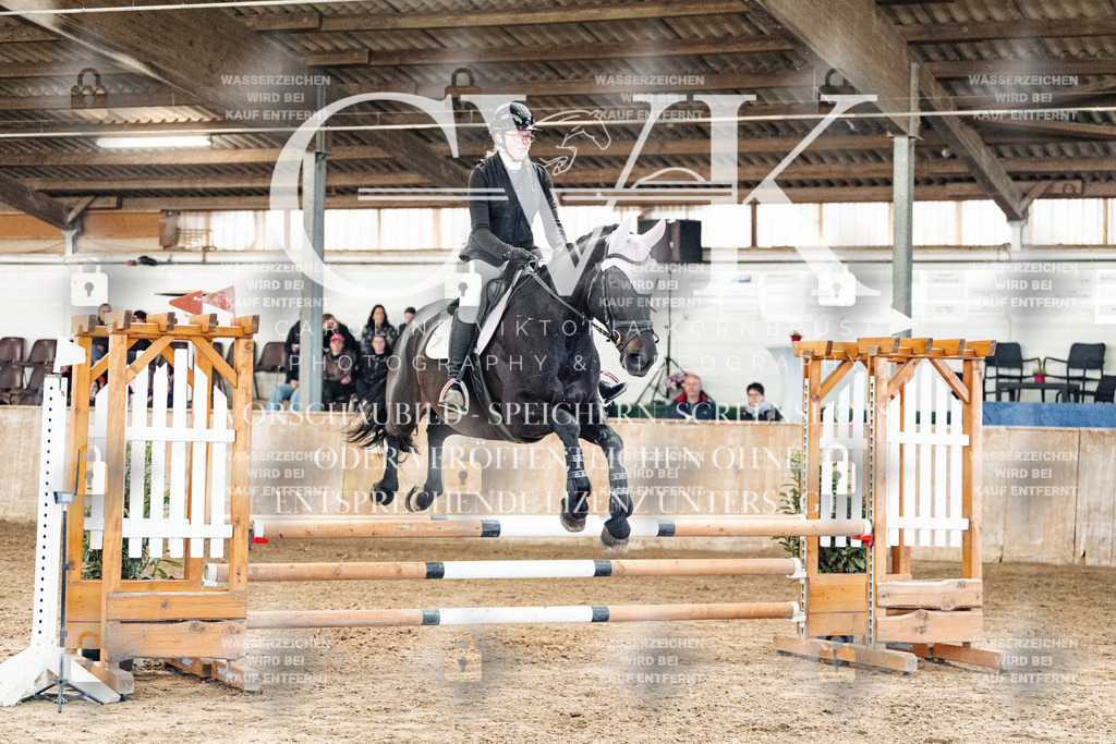 CK904507 | Turnierfotografie Pferdefotografie Trier Rheinland-Pfalz Pferdesport Reitsport Tierfotografie Sportfotografie Pferdevideo Pferdevideografie Equestrianvideography equestrianphotography  - Realisiert mit Pictrs.com