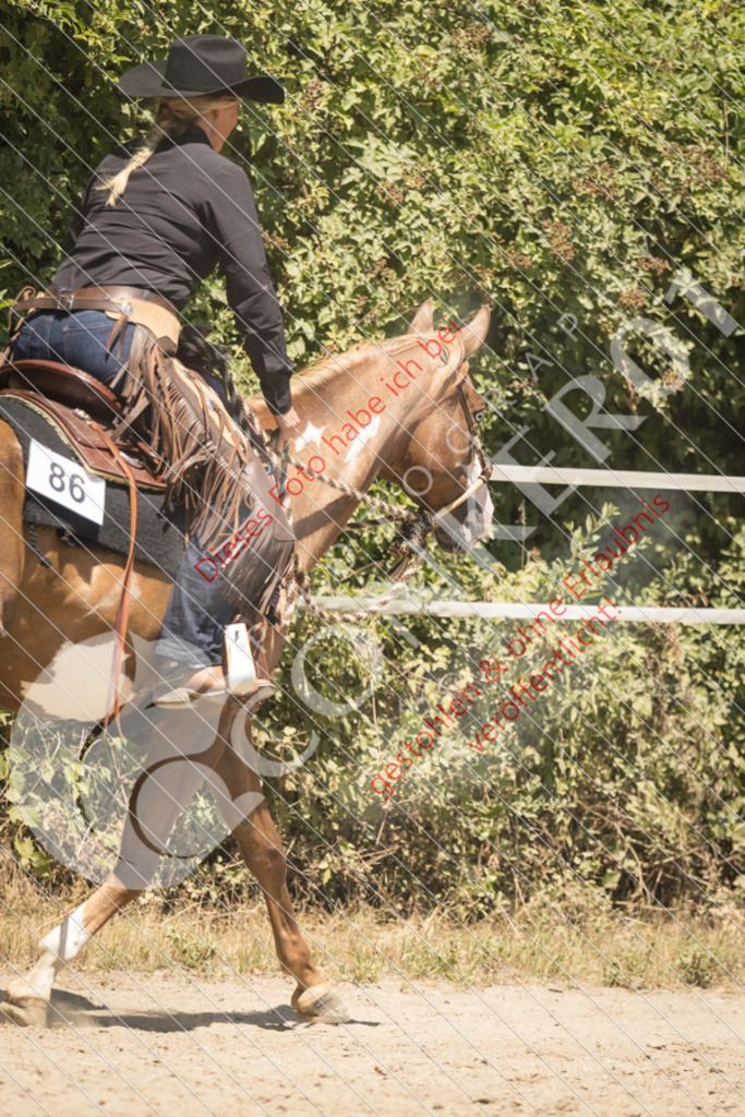 IMG_9645 | Sport-, Event- und Tierfotos in Profiqualität. Einfach auswählen, bestellen und herunterladen. Dein Moment – perfekt festgehalten.