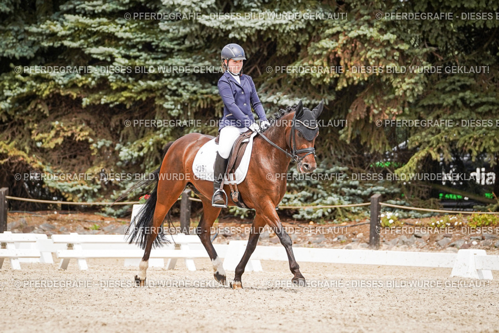 DSC04198 | Pferdegrafie