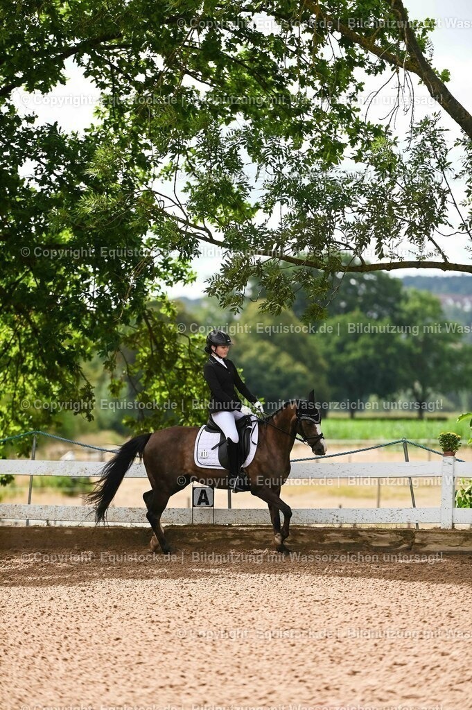 20230716_10-1_Reiter-WB Schritt - Trab - Galopp_0190 | equistock