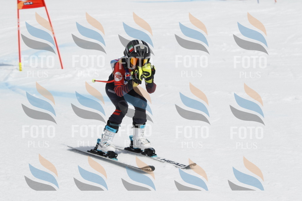 _U3G2287 | holidayphoto