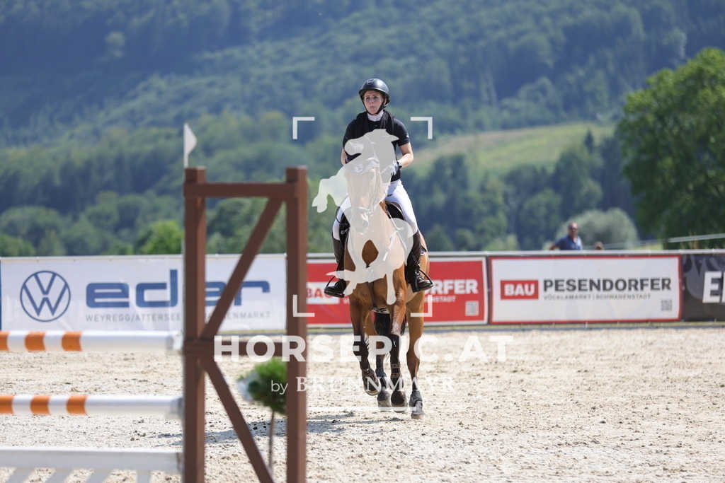 0P6A0386 | Willkommen bei Brunnmayr - Design & Fotografie – Ihrem Spezialisten für Reitturniere und Pferdeveranstaltungen in Oberösterreich, Salzburg und Bayern! Seit über 17 Jahren sind wir leidenschaftlich dabei.