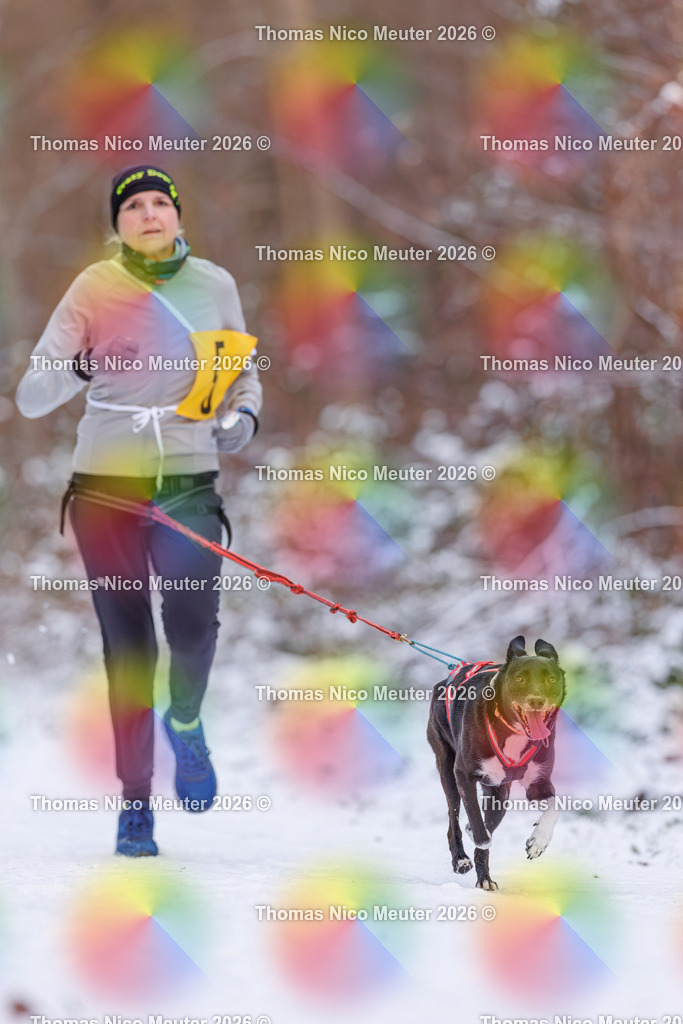 Thomas_Nico_Meuter(C)_223A7975 | Bild von Thomas Nico Meuter - Realisiert mit Pictrs.com