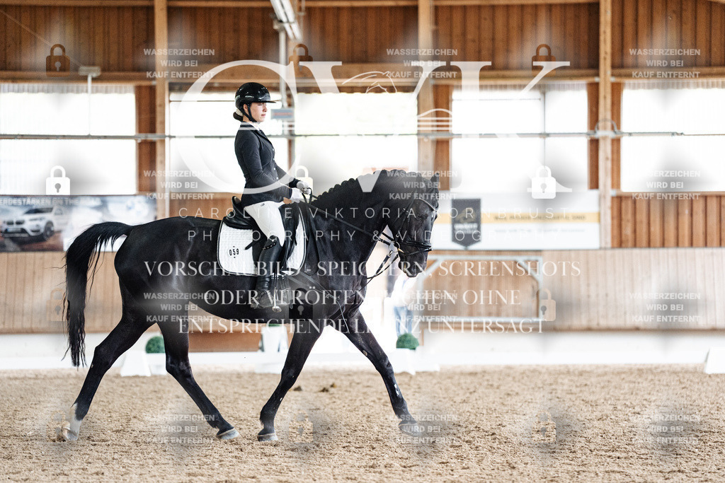 CK901034 | Turnierfotografie Pferdefotografie Trier Rheinland-Pfalz Pferdesport Reitsport Tierfotografie Sportfotografie Pferdevideo Pferdevideografie Equestrianvideography equestrianphotography  - Realized with Pictrs.com