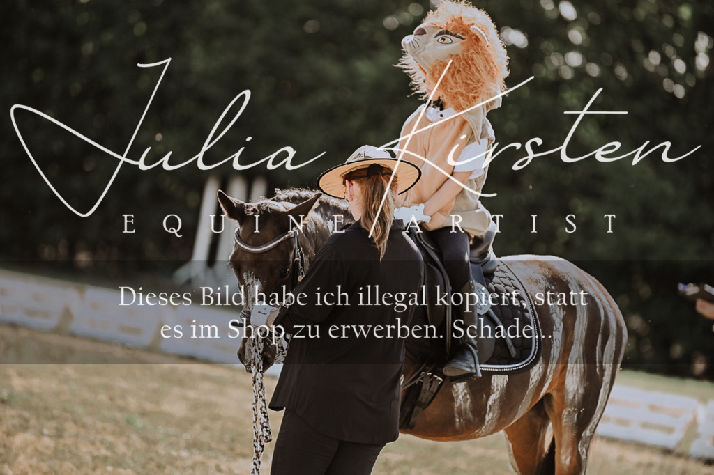 DSC_9186 | Pferde- und Turnierfotografie in Westsachsen. Pferdeportraits, Auftragszeichnungen und intuitive Kunst.