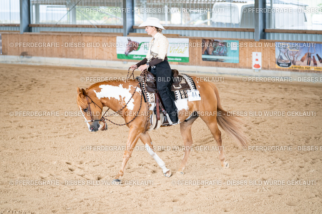 DSC02247 | Pferdegrafie