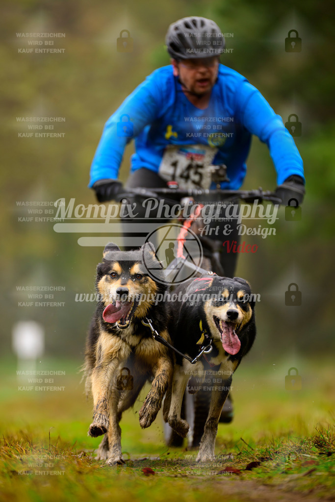 MompixPhotography_Bischwiller2025_Bike-127 | mompixphotography