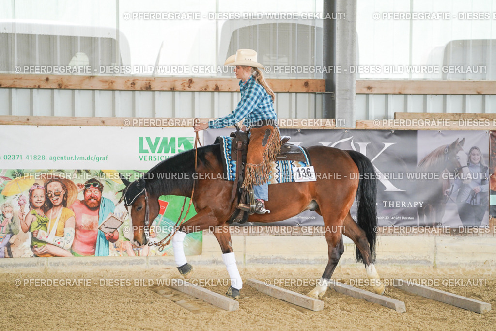 DSC02737 | Pferdegrafie