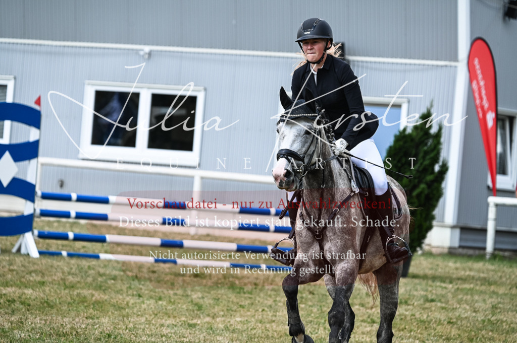 DSC_8934 | Pferde- und Turnierfotografie in Westsachsen. Pferdeportraits, Auftragszeichnungen und intuitive Kunst.