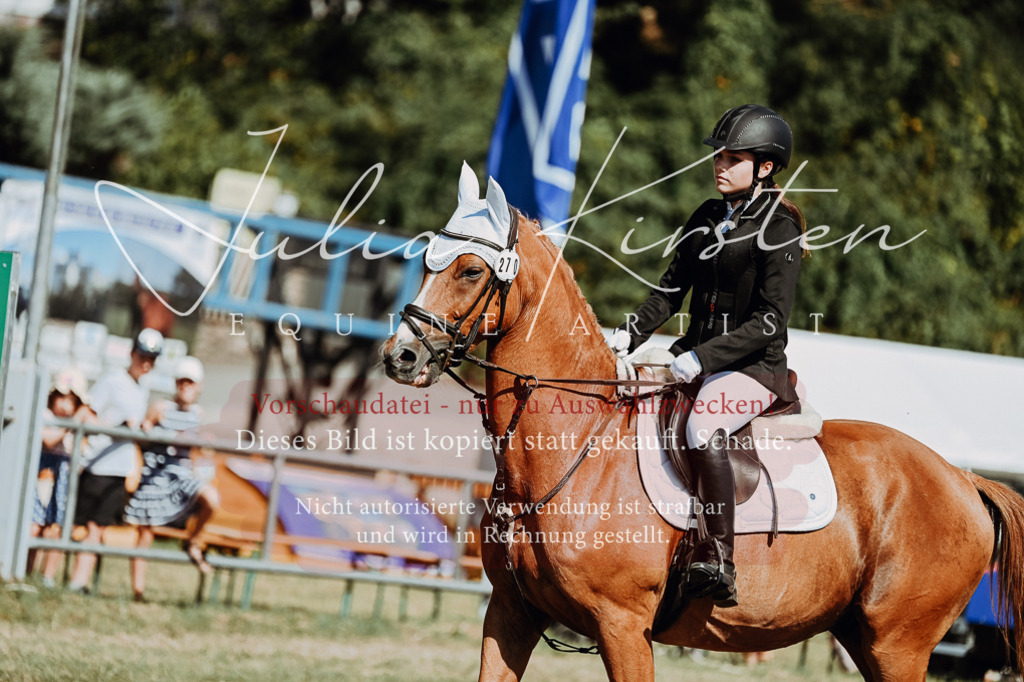 DSC_9586 | Pferde- und Turnierfotografie in Westsachsen. Pferdeportraits, Auftragszeichnungen und intuitive Kunst.