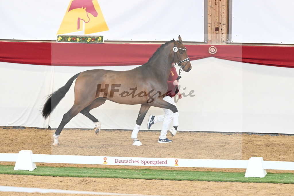 Kat.-Nr. 67 v. Fürstenball_Niehe_2250535 | hf-fotografie - Realisiert mit Pictrs.com