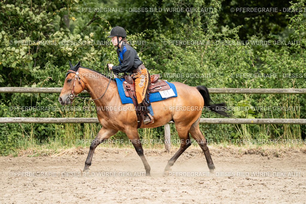 DSC01634 | Pferdegrafie