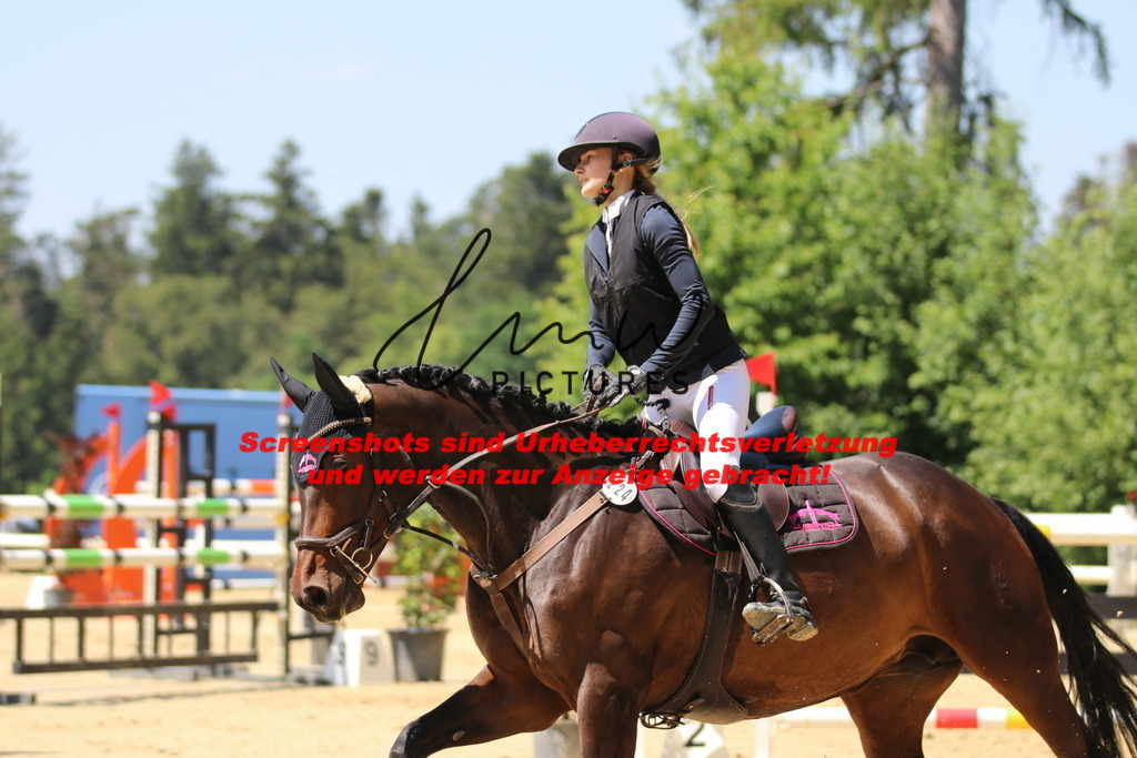 IMG_2489 | lmwpictures - Realisiert mit Pictrs.com