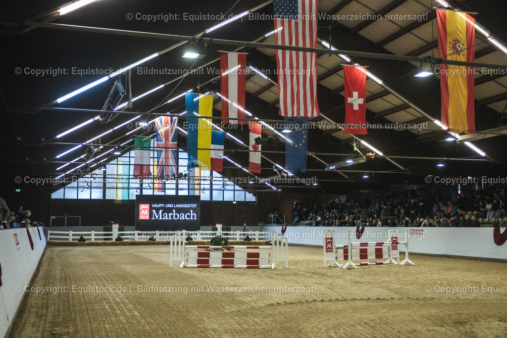 20240302_Hengstvorstellung_Marbach_TOMsPiC_0065 | equistock