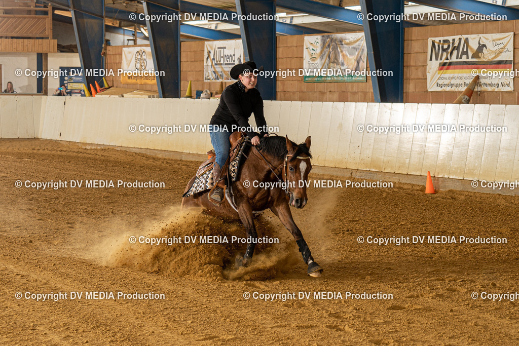 MIT00346 | dv-media-shop - Realisiert mit Pictrs.com