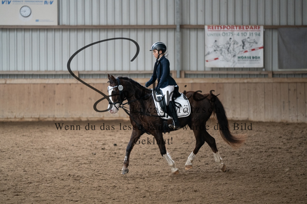 A7V04943 | Pferdefotograf