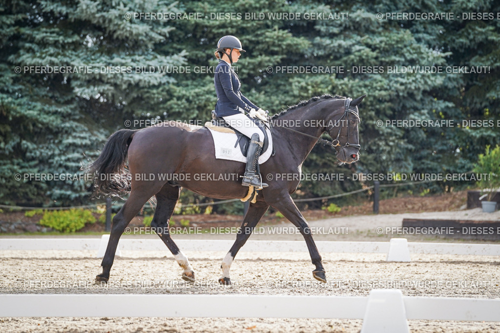 DSC00939 | Pferdegrafie