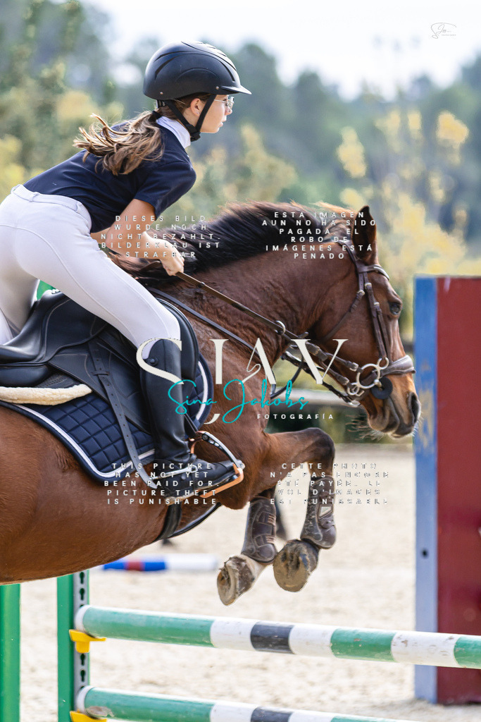 IMG_5592 | s-jay-photography - Realisiert mit Pictrs.com