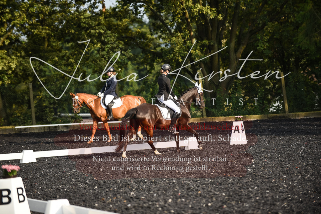 DSC_3394 | Pferde- und Turnierfotografie in Westsachsen. Pferdeportraits, Auftragszeichnungen und intuitive Kunst.