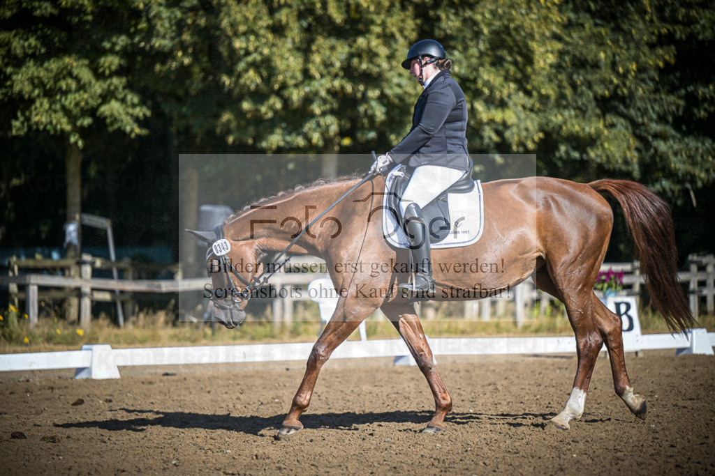DOS_1271 | Entdecke hochwertige Reitturnierfotos von Foto Oger. Professionell, emotional und authentisch – jetzt Lieblingsmomente im Shop bestellen.Deutschlandweite Turnierfotografie. - Realisiert mit Pictrs.com