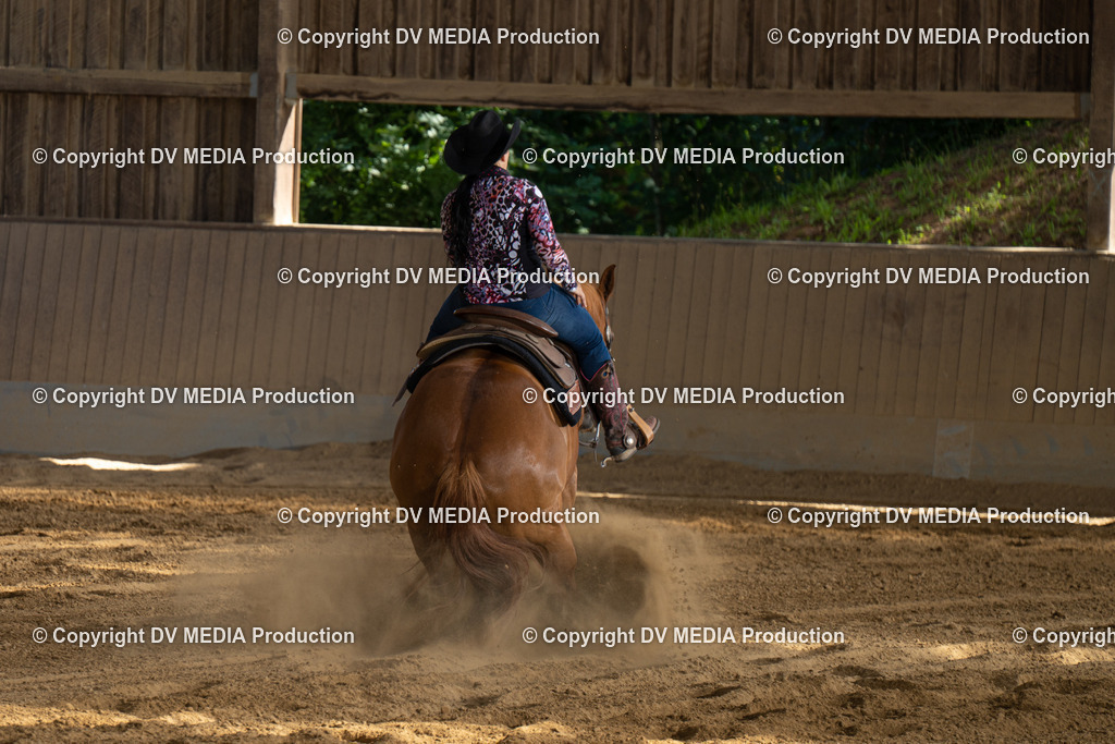 DSC00441 | dv-media-shop - Realisiert mit Pictrs.com