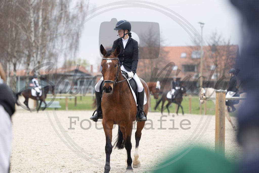 994A8559 | sabrinanicolaifotografie - Realisiert mit Pictrs.com