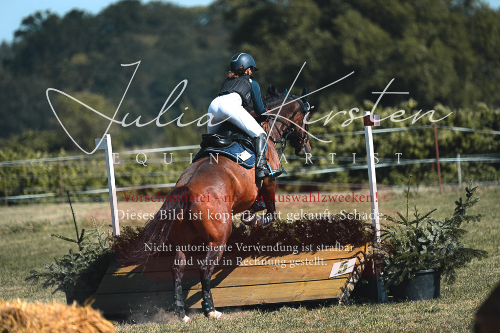 DSC_8373 | Pferde- und Turnierfotografie in Westsachsen. Pferdeportraits, Auftragszeichnungen und intuitive Kunst.