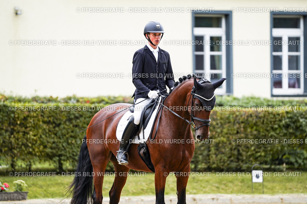 DSC08384 | Pferdegrafie