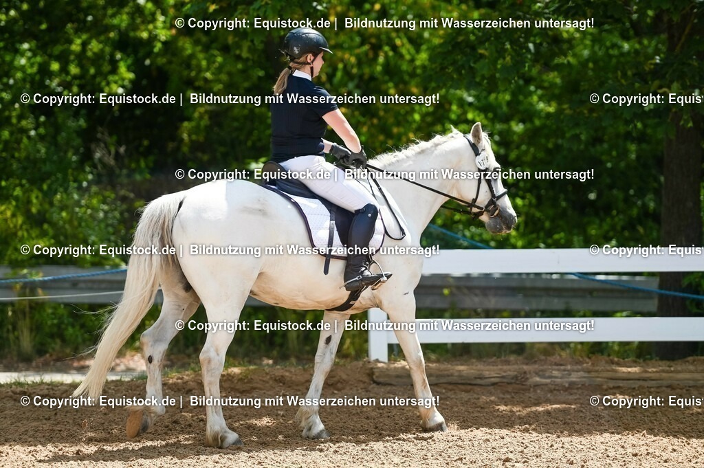 20230715_09_Dressur-WB_0001 | equistock