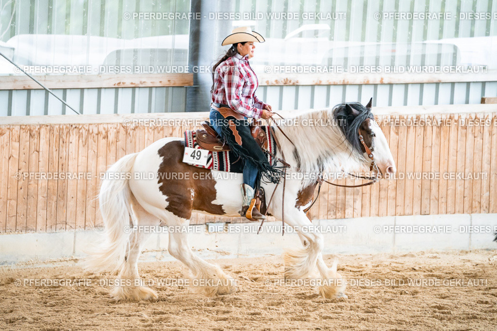 DSC00326 | Pferdegrafie