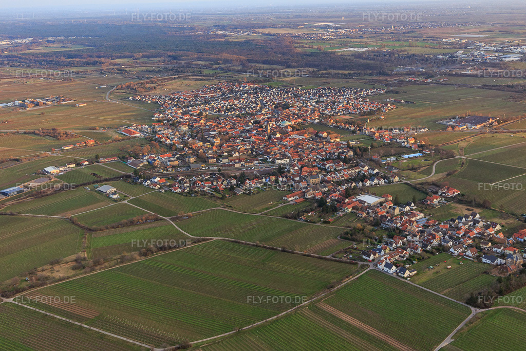 Luftbild: Ortsansicht von Nordwesten im Ortsteil Mußbach in Neustadt im Bundesland Rheinland-Pfalz in Deutschland. Foto: IMG_130601.jpg vom 12.02.2022 durch Werner Riehm/FLY-FOTO.de