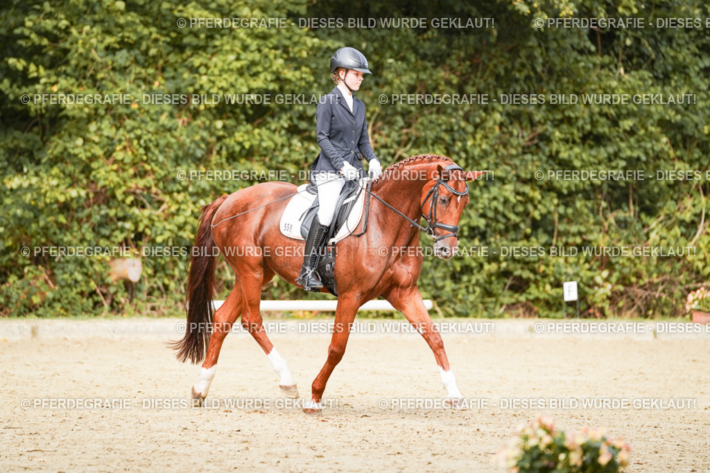 DSC03439 | Pferdegrafie