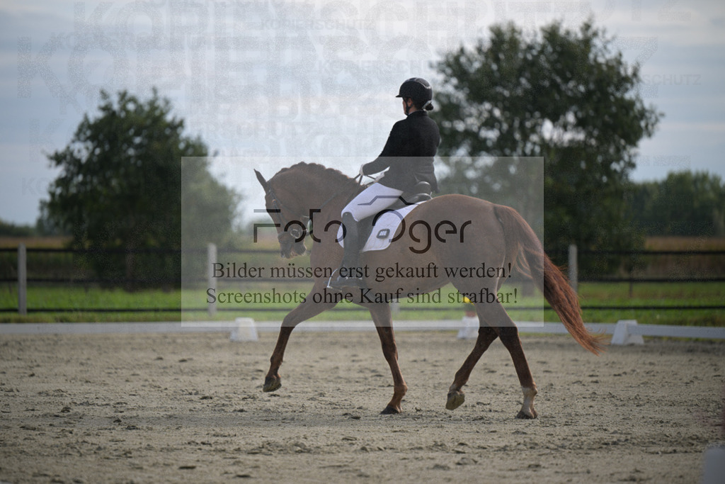 DOS_2580 | Entdecke hochwertige Reitturnierfotos von Foto Oger. Professionell, emotional und authentisch – jetzt Lieblingsmomente im Shop bestellen.Deutschlandweite Turnierfotografie. - Realisiert mit Pictrs.com