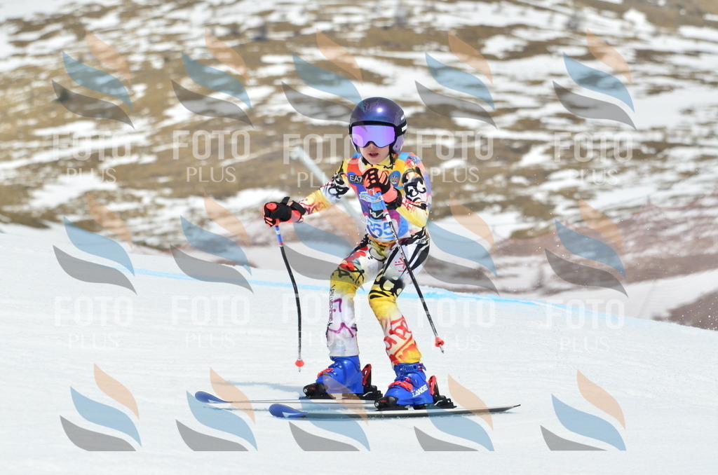 _ELE2930 | holidayphoto