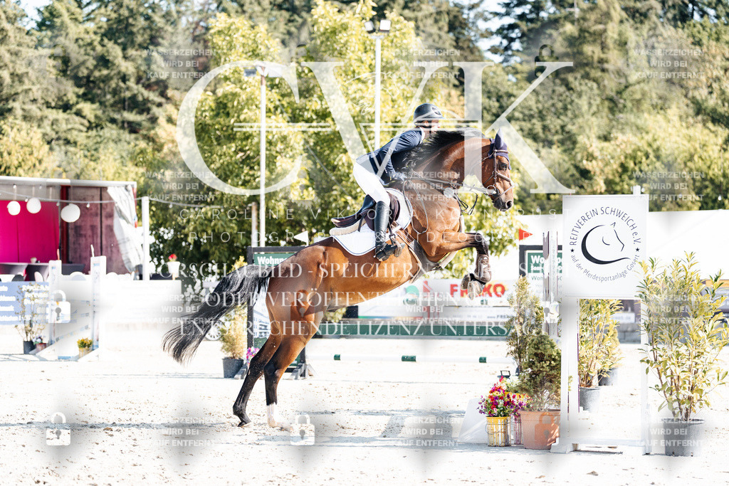 CK902192 | Turnierfotografie Pferdefotografie Trier Rheinland-Pfalz Pferdesport Reitsport Tierfotografie Sportfotografie Pferdevideo Pferdevideografie Equestrianvideography equestrianphotography  - Realisiert mit Pictrs.com