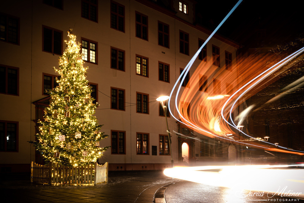 Der Weihnachtsbaum am Höfchen in Mainz | Der Weihnachtsbaum am Höfchen in Mainz