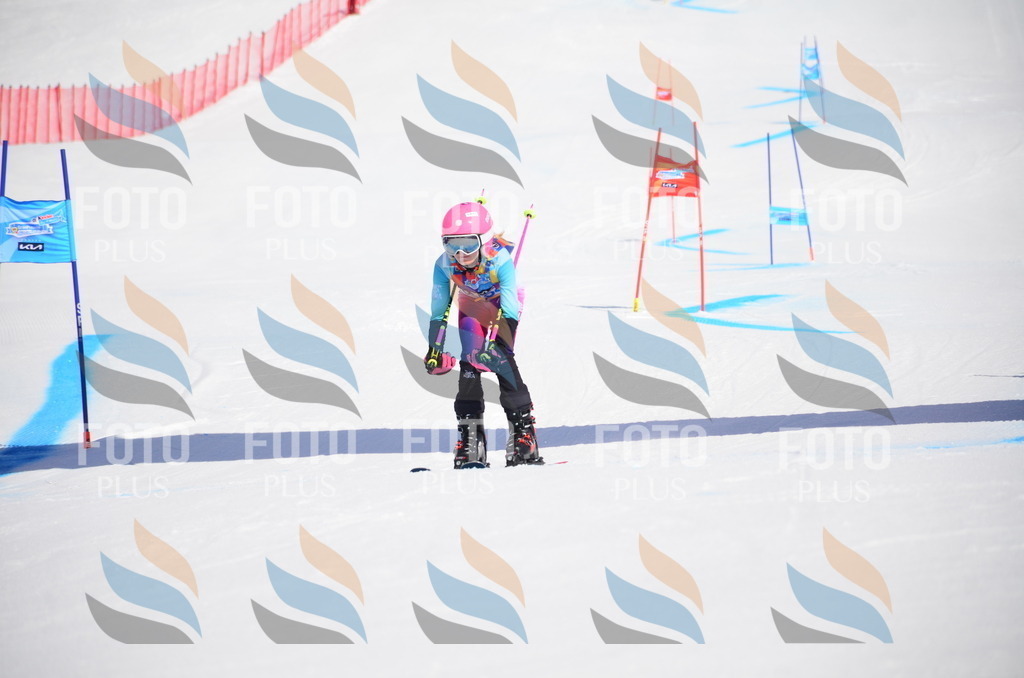 VR4_9898 | holidayphoto