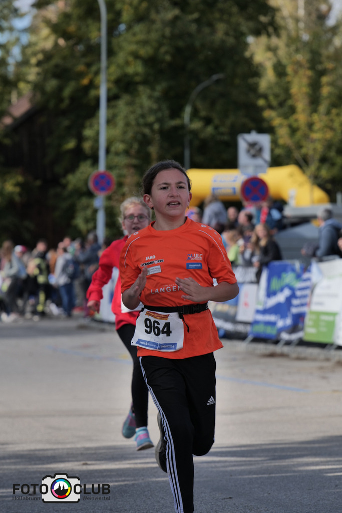 D (442) | Foto Buchgraber