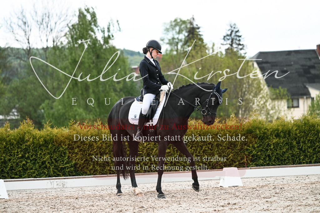 20230513_JK-Röhrsdorf-11-007 | Pferde- und Turnierfotografie in Westsachsen. Pferdeportraits, Auftragszeichnungen und intuitive Kunst.