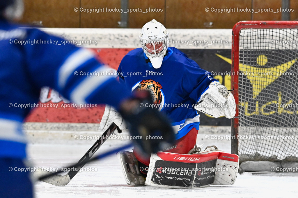 EC Tigers Paternion vs. EC Virgen 12.2.2023 | #21 Lesacher Jürgen