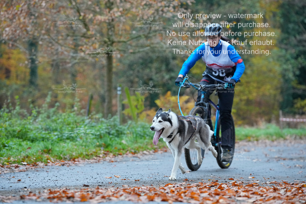 Bike_So-84 | stephaniefillaphotographie - Realisiert mit Pictrs.com