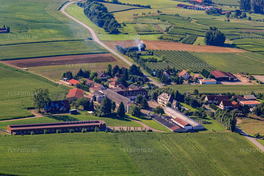Luftbild: Ortsteil Schafbusch in Steinseltz im Bundesland Bas-Rhin in Frankreich. – Foto: IMG_31111.jpg vom 07.08.2010 durch Werner Riehm/FLY-FOTO.de – Auflösung des Originals: 4752 x 3168 px