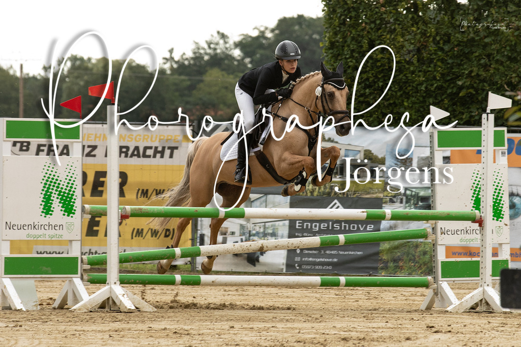 IMG_6545 | photographesa-joergens - Realisiert mit Pictrs.com