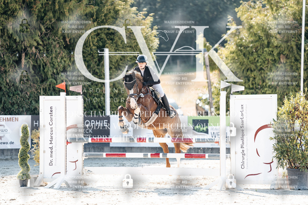 CK907761 | Turnierfotografie Pferdefotografie Trier Rheinland-Pfalz Pferdesport Reitsport Tierfotografie Sportfotografie Pferdevideo Pferdevideografie Equestrianvideography equestrianphotography  - Realisiert mit Pictrs.com