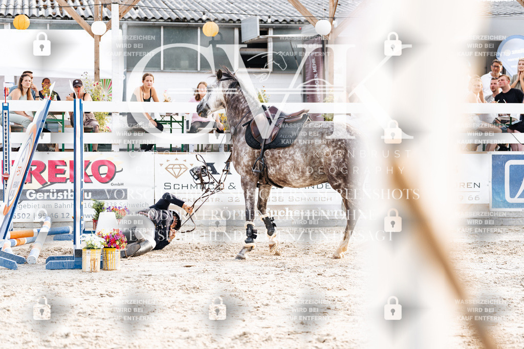 CK907056 | Turnierfotografie Pferdefotografie Trier Rheinland-Pfalz Pferdesport Reitsport Tierfotografie Sportfotografie Pferdevideo Pferdevideografie Equestrianvideography equestrianphotography  - Realisiert mit Pictrs.com