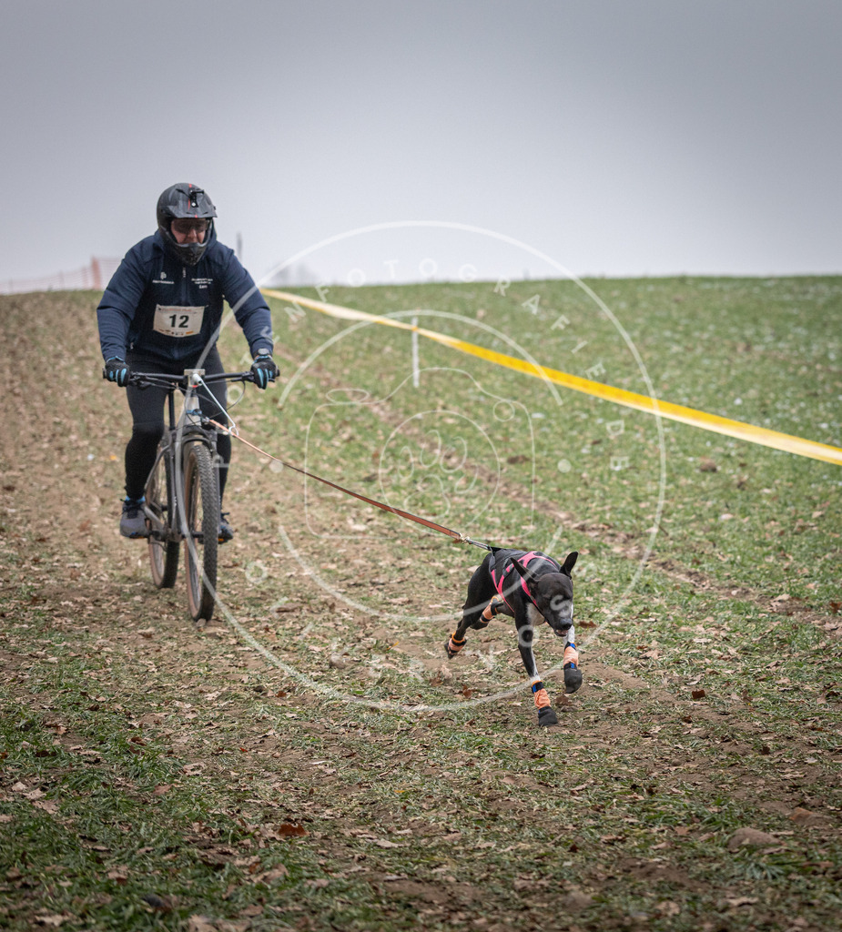 Pfotenfotografie_DV3A1334 | Hundefotografie, Tierfotograf, Pfotenfotografie, Fotoshooting Hund, Hunde Portrait, Hundesport, Hundeportraits, Heideshooting, Hunde, Sportfotograf, Hundefotograf, Turnierhundsport, THS,  - Realisiert mit Pictrs.com